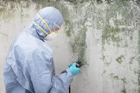 Trusted Washington Mills, NY Mold Prevention & Removal  Experts